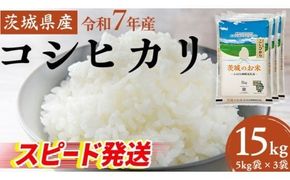 スピード発送!! 【 令和7年産 】 茨城県産 コシヒカリ 15kg ( 5kg × 3袋 ) 米 お米 コメ 白米 こしひかり 茨城県 精米 新生活 応援 新米 スピード配送 [DK003ci]