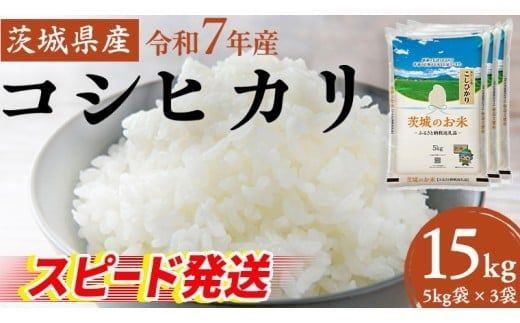 スピード発送!! 【 令和7年産 】 茨城県産 コシヒカリ 15kg ( 5kg × 3袋 ) 米 お米 コメ 白米 こしひかり 茨城県 精米 新生活 応援 新米 スピード配送 [DK003ci]