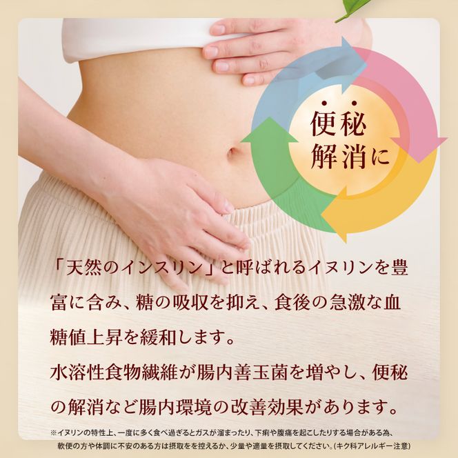 【2026年11月より順次発送】★栽培期間中農薬不使用★ 行方市産 菊芋 約1.5kg｜芋 先行予約 茨城県（CP-17）