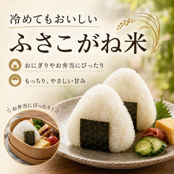 【新米】米 ふさこがね 5kg まなびファーム 令和8年産  白米 精米 ブランド米 産地直送 新米 九十九里町