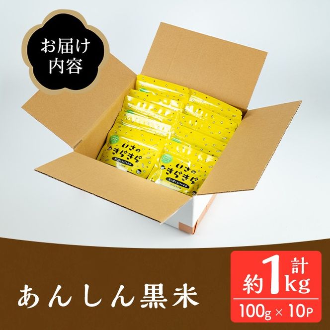 isa478 《毎月数量限定》あんしん黒米(約100g×10袋・計約1kg) 米 黒米 お米 鹿児島県 伊佐市 有機肥料 アンチエイジング 小分け 個包装 【しげふみファーム】
