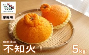 【先行予約】【家庭用】不知火 約5kg | 柑橘 みかん 果物 フルーツ 愛媛県産 農家直送　※離島への配送不可　※2025年2月下旬より順次発送予定