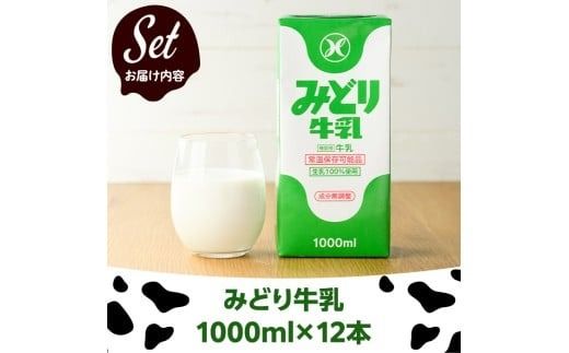 みどり牛乳(計12L・1000ml×12本)常温 保存 ミルク 生乳 長期保存 ロングライフ 乳製品 防災 備蓄 大分県 佐伯市【GT02】【九州乳業株式会社】