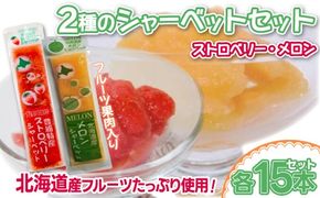北海道 豊浦町 いちご・メロンのシャーベット 15本×2種 【 ふるさと納税 人気 おすすめ ランキング 果物 メロン めろん 果物 いちごイチゴ 苺 イチゴシャーベット メロンシャーベット 食べ比べ おいしい 美味しい 甘い 北海道 豊浦町 送料無料 】TYUN016