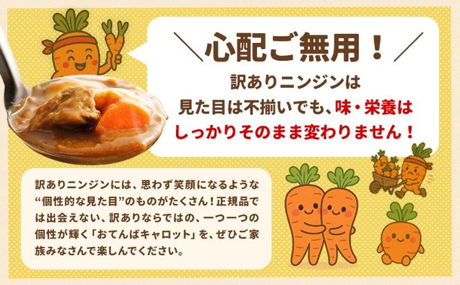 人参 訳あり にんじん ニンジン キャロット 2kg 5kg《12月中旬-3月上旬頃出荷》熊本県 大津町 人参 送料無料 にんじん キャロット 熊本県産 にんじん 5kg---oz_wknnjn_g123_25_3500_2kg---