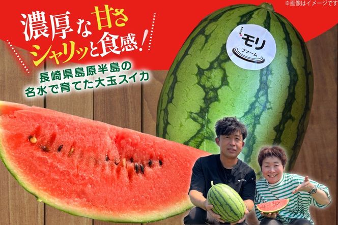 AJ460 【令和8年度出荷分】 湧水の里 モリファーム 小玉スイカ うり坊 3L 4kg 1玉 [ 先行予約 数量限定 小玉 うり坊 スイカ 西瓜 フルーツ 果物 長崎 長崎県 島原市 ]