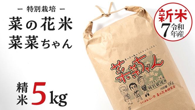 y錧΂݂炢szߘa7NY RVqJ (  5kg ) ʍ͔| ؂̉ԕ u؍؂v    ͂   Y 錧Y V v[g V KvȂ ֗  Օi l炵 l炵 Kv Ђ  yY Mtg 