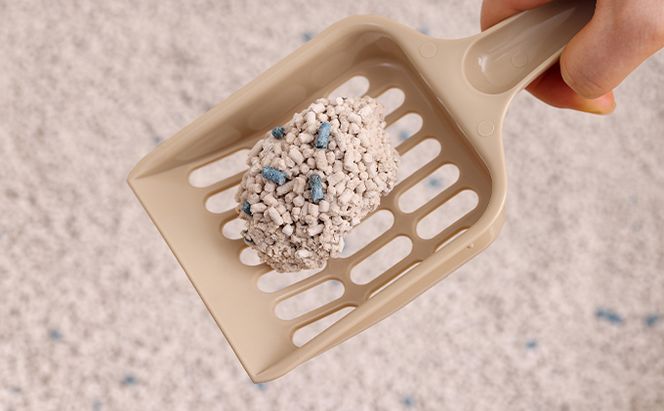 クリーンサンド 5L×4袋 20L CLS-5L ねこ砂 猫トイレ 固まる 抗菌 脱臭 アイリスオーヤマ 10,000円台おすすめ返礼品 