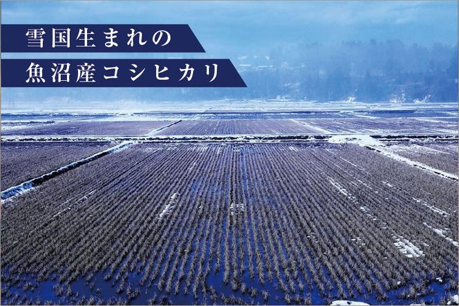 ゆきまち米 2合×6個 【極上魚沼産コシヒカリ】 お米