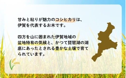 令和8年産 伊賀米コシヒカリ 15kg（5kg＋10kg）【jaig0002A】