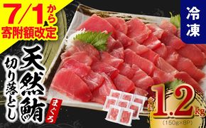 015B569 【7/1から寄附額改定】天然まぐろ 切り落とし 1.2kg（150g×8P）【訳あり サイズ不揃い 刺身 海鮮丼 鮪 まぐろ マグロ ユッケ 海鮮 小分け 一人暮らし ファミリー】