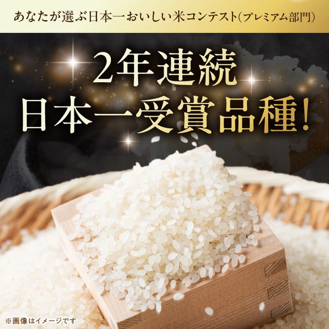 R7年産　「いのちの壱」（10kg）＜農家直送＞ ［208K10］ 希少米 10kg 米 精米 白米 ご飯 国産 産地直送 甘い 粘り強い もちもち お取り寄せ こだわり米 愛知県 小牧市 送料無料