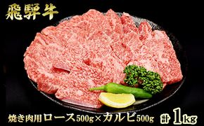 ふるさと納税　飛騨牛 ロース＆カルビ 焼肉 セット  計1kg A5 和牛 牛肉 お肉 ロース カルビ 食べ比べ 焼肉用 バーベキュー BBQ 
