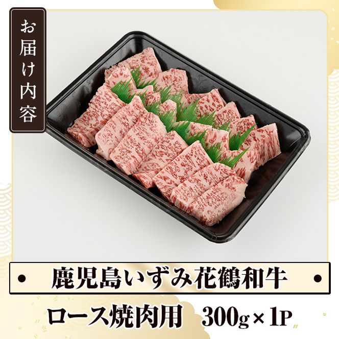 商標登録のブランド黒毛和牛肉！鹿児島いずみ華鶴和牛の焼き肉用ロース(約300g) 阿久根市 国産 九州産 鹿児島県産 特産品 肉 牛肉 焼肉 希少【鹿児島いずみ農業協同組合】akn018-24