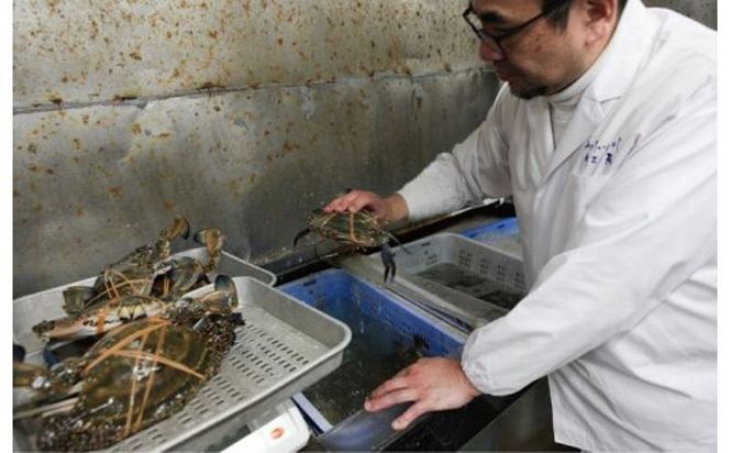 050F111f 【父の日】わたりがに料理専門店 割烹松屋 かに飯「特上」