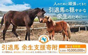 【返礼品なし】引退馬余生支援寄附 一般社団法人オープンセサミアライブ 熊本県 南阿蘇村 馬 ウマ 支援 競走馬 引退馬 生活支援 動物愛護 保護 返礼品なし 寄附 牧場 オープンセサミ アニマルサンクチュアリ---sms_opumasien_r7_5000---