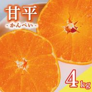 数量限定 先行予約 甘平 4kg 15000円 かんぺい 高級 人気 ブランド プレミアム 産地直送 農家直送 愛媛 みかん mikan 蜜柑 ミカン 国産 期間限定 特産品 フルーツ 果物 柑橘 甘い おいしい お取り寄せ ギフト プレゼント お礼 みかんの山祥 愛南町 愛媛県