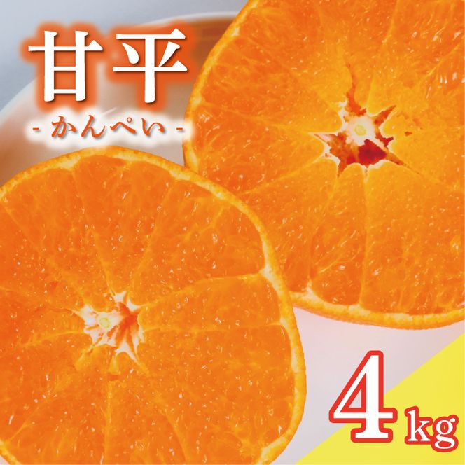 数量限定 先行予約 甘平 4kg 15000円 かんぺい 高級 人気 ブランド プレミアム 産地直送 農家直送 愛媛 みかん mikan 蜜柑 ミカン 国産 期間限定 特産品 フルーツ 果物 柑橘 甘い おいしい お取り寄せ ギフト プレゼント お礼 みかんの山祥 愛南町 愛媛県