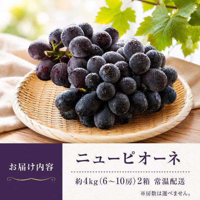ニュー ピオーネ 約4kg ぶどう 葡萄 フルーツ 岡山 高梁市産 2026年 先行予約 果物類 果物 