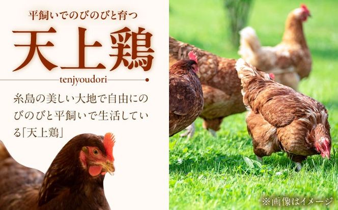 【 全6回 定期便 】 こだわり の 卵 「 天上卵 」 40個 セット 《糸島》【株式会社おおはまファーム】[AKH007]【 全6回 定期便 】 こだわり の 卵 「 天上卵 」 40個 セット 《糸島》【株式会社おおはまファーム】[AKH007]