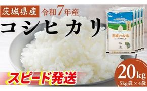 スピード発送!! 【 令和7年産 】 茨城県産 コシヒカリ 20kg ( 5kg × 4袋 ) 米 お米 白米 コメ こしひかり 茨城県 精米 新生活 応援 新米 スピード配送 [DK004ci]