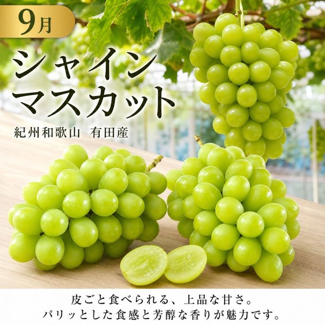 定期便 8・9月発送 紀州有田産旬のフルーツセット（種なし巨峰＆梨セット×計約2kg・シャインマスカット×約2kg）  AN068