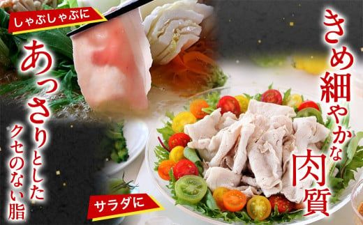 国産豚肉切り落とし5kgラッキーセット_19-3601_(都城市) 国産 豚肉 切り落とし 250g×20袋 5kg 豚肉 小分け お弁当 サラダ しゃぶしゃぶ 料理 アレンジ