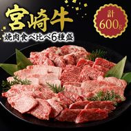 宮崎牛 焼肉食べ比べ6種盛600g N0140-YB446