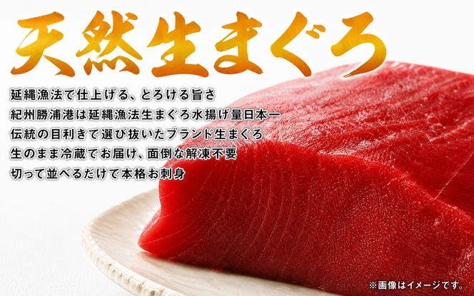 【全3回】まぐろ・うなぎ・和牛を楽しむ贅沢定期便A / 鮪 マグロ 刺身 鰻 ウナギ 蒲焼 熊野牛 肉 牛肉 和牛 黒毛和牛 ヒレ ロース シャトーブリアン ステーキ スライス【tkb386】