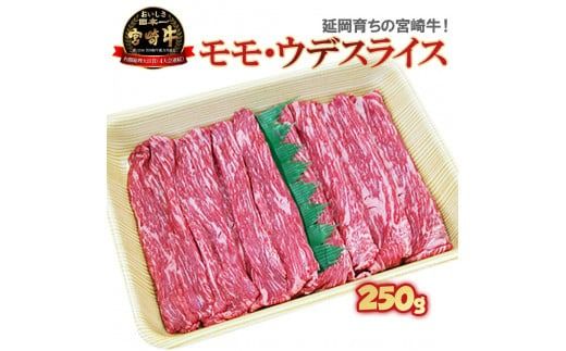 宮崎牛モモ・ウデスライス　N023-YZA302