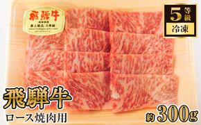 飛騨牛ロース焼肉用 約300g（5等級/冷凍） [No.214]