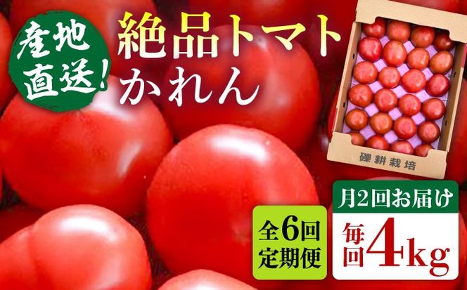 【先行受付】【全6回定期便】糸島産 絶品トマト かれん (4kg28玉前後) 【2025年12月上旬以降順次発送】糸島市 / シーブ 野菜 とまと[AHC067] トマト糸島市内の直産市場でもトップクラスの売り上げ！！