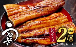 kgp0038 大サイズ 国産うなぎ 2尾 合計300g以上