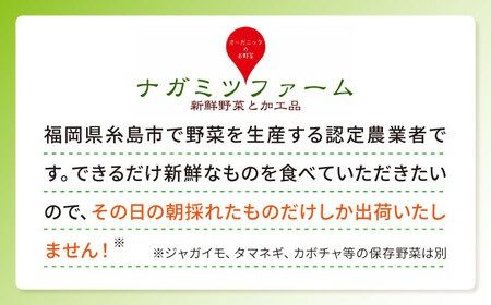 ブロッコリー 500g 冷凍 旬の時期に急速冷凍 【福岡県糸島産】 糸島市 / オーガニックナガミツファーム 野菜 [AGE043]