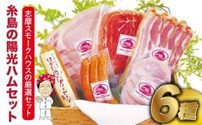 【年内発送】 ＼DLG金賞・銀賞受賞！／糸島の陽光 ハム 6種 セット 糸島市 / 志摩スモークハウス ハム ソーセージ 食べ比べ [AOA001] 詰め合わせ ギフト ソーセージ ハム 詰め合わせ