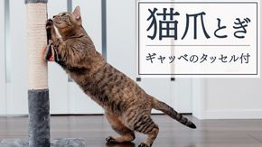 猫 爪とぎ ギャッベのタッセル 付き 猫グッズ 猫用品 ペット用品 ペット 猫 ねこ ネコ ベッド アウトドア おしゃれ 爪とぎ キャット にゃんこ キャットタワー [BP290-NT]