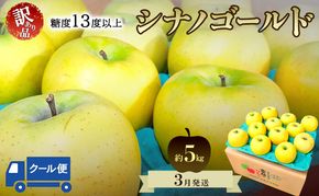 りんご【3月クール便発送】平均糖度13度以上 訳あり品 家庭用 シナノゴールド 約5kg【青森りんご 果物 フルーツ デザート 食後 青森県産 産地直送 贈り物】