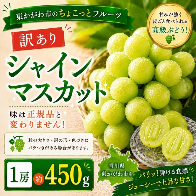 シャインマスカット 訳あり 1房 約450g ぶどう ブドウ 葡萄 種なし 皮ごと 皮ごと食べられる 不揃い 家庭用 ご家庭用 訳アリ わけあり マスカット シャイン 果物 フルーツ くだもの デザート おやつ 香川県 東かがわ市