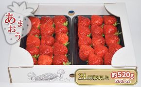 いちご あまおう 2L以上 約520g（260g×2パック）配送不可 北海道 東北 沖縄 離島 