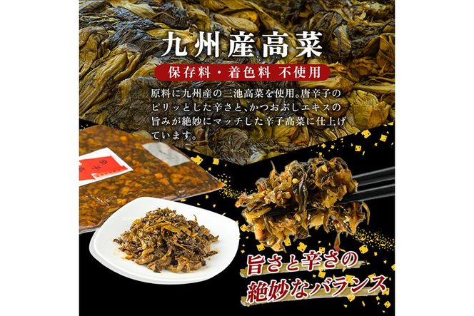 a568 《選べる内容量》九州産辛子高菜(1kg・4kg)【九州新進】姶良市 国産 九州産 たかな 漬物 漬け物 ご飯のお供 おかず おつまみ おにぎり 常温 常温保存
