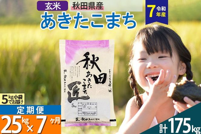 yHckszyāzߘa7NY s7tHcY ܂  25kg (5kg×5)×7 25L  |02_snk-020907s