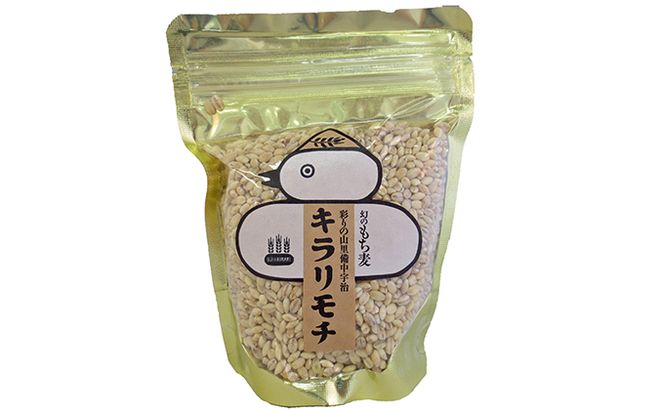 宇治町産 もち麦5個セット お米 