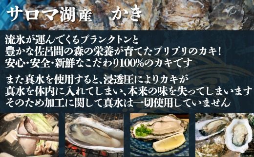 【先行受付】カキ むき身 大粒 1年貝 500g（500g無水パック×1） 佐呂間産（10月中旬以降順次発送開始予定） SRMA043