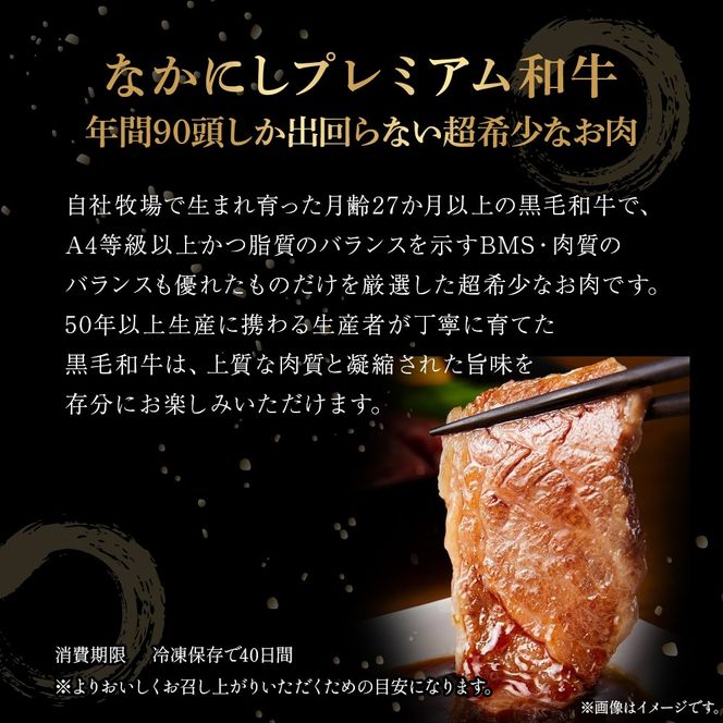 【定期便 全6回】宮崎県西ノ原牧場・なかにしプレミアム和牛ステーキ定期便（牛肉 黒毛和牛 ステーキ サーロイン モモ 定期便 A4 A5）