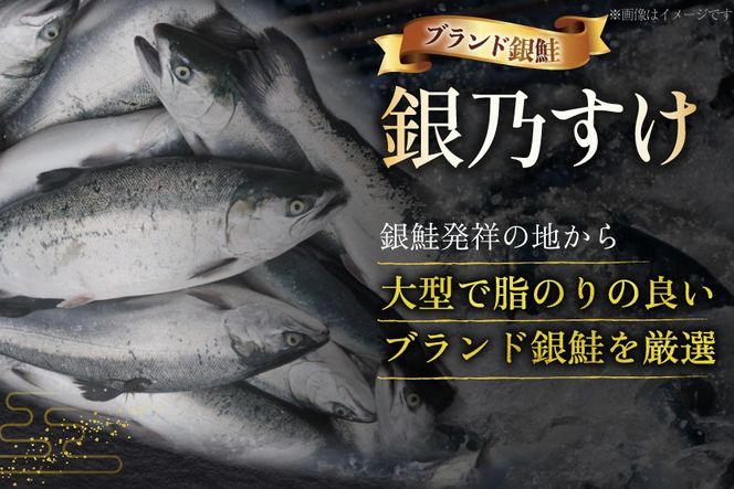 銀乃すけ PREMIUM SET 銀鮭 厚切り 西京漬け 寒風干し 2切入 4p 2種 計16p [行場商店 宮城県 南三陸町 m304bir900001] 魚 魚介類 サーモン 銀鮭 西京漬 シャケ 切り身 さけ サケ 国産 小分け 個包装 冷凍