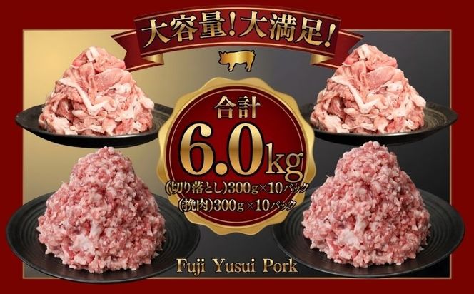 幻の銘柄豚 富士湧水ポーク 切り落としと挽肉のガッツリ盛りセット 6.0kg　DM028_01