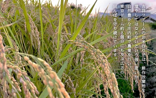 【新米受付 10月発送】R7年産 吉祥ファーム ササニシキ 5kg（入金期限：2025.9.15）