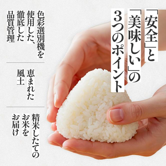 【令和６年産 コシヒカリ】白米10kg（10kg×1袋）2024年産(26-21)米 お米 米10kg お米10kg 兵庫県産 こしひかり コシヒカリ 西脇市産 令和６年産 R６年産 2024年産 精米
