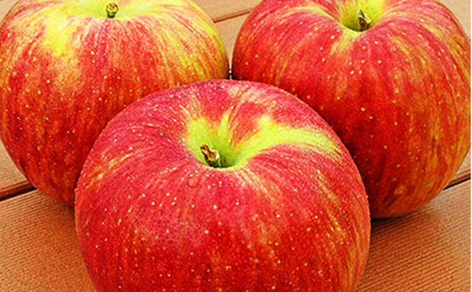 【2026年10月発送】 シナノスイート約3kg 7～9玉 りんご 長野県産