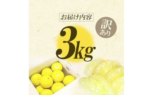 【CF-R7hbk】【先行予約】“高知県産”ワケあり土佐文旦（※シミ・キズあり）3kg・サイズおまかせ